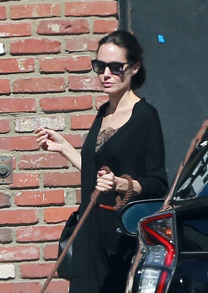 Angelina Jolie - Takes her dogs to the pet store in Los Angeles